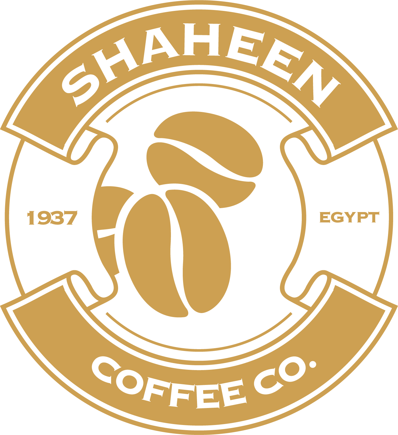 بن شاهين logo